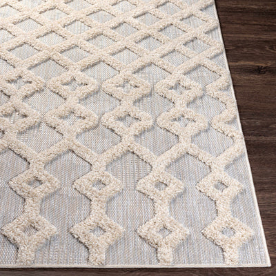 Islandton Indoor & Outdoor Rug - Clearance