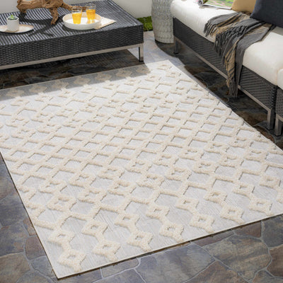 Islandton Indoor & Outdoor Rug - Clearance