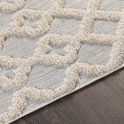 Islandton Indoor & Outdoor Rug - Clearance