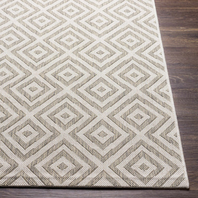 Silverstone Area Rug - Clearance