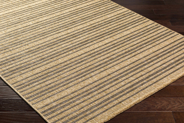 Aphea Indoor & Outdoor Rug