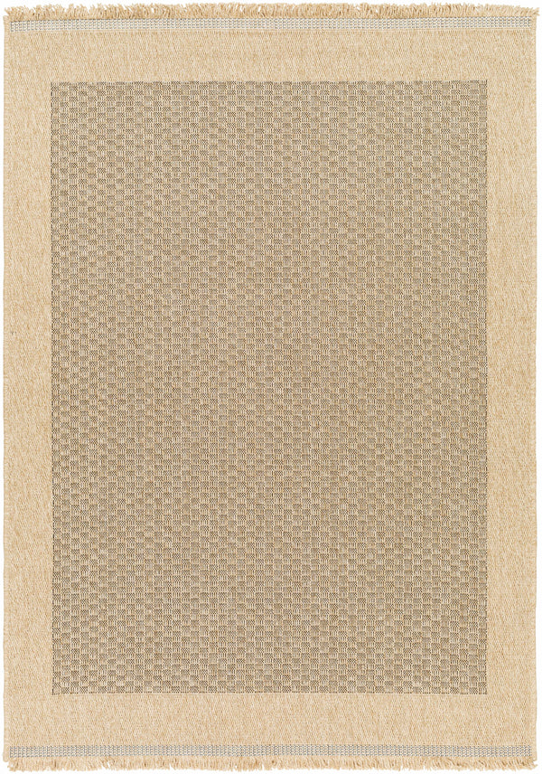 Biana Indoor & Outdoor Rug