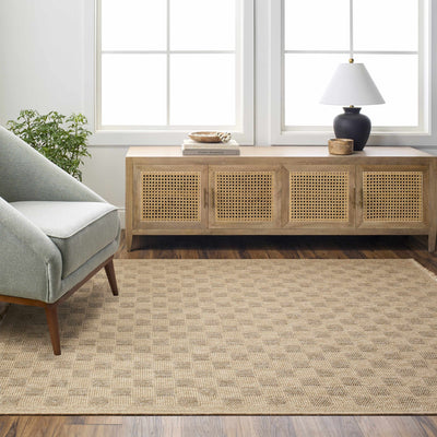 Jurek Beige Checkered Area Rug