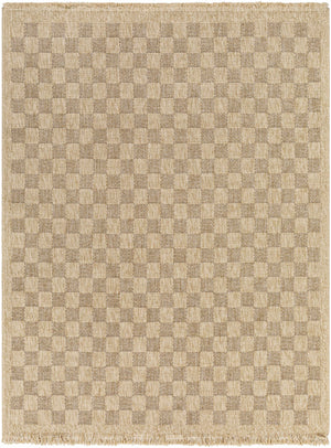 Jurek Beige Checkered Area Rug