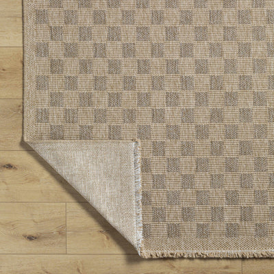 Jurek Beige Checkered Area Rug