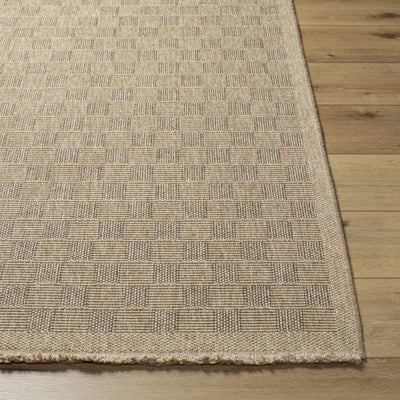 Jurek Beige Checkered Area Rug