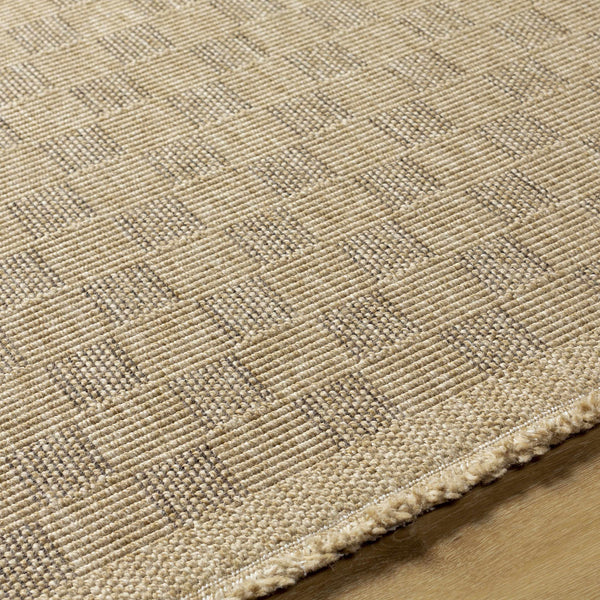 Jurek Beige Checkered Area Rug