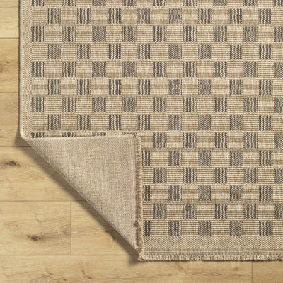 Jurek Beige & Brown Checkered Area Rug