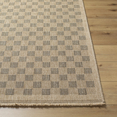 Jurek Beige & Brown Checkered Area Rug