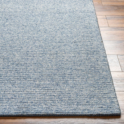 Alyra Light Blue Solid Area Rug