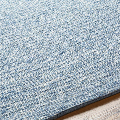 Alyra Light Blue Solid Area Rug