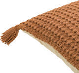 Litzy Burnt Orange Throw Pillow