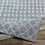 Blue Ivory Summit Indoor & Outdoor Area Rug - Clearance