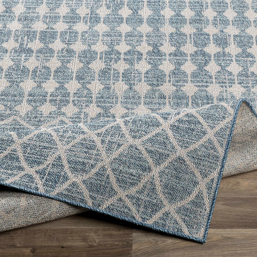 Blue Ivory Summit Indoor & Outdoor Area Rug - Clearance