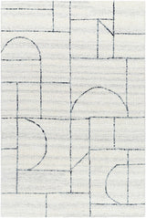 Sanaz Charcoal Area Rug - Clearance