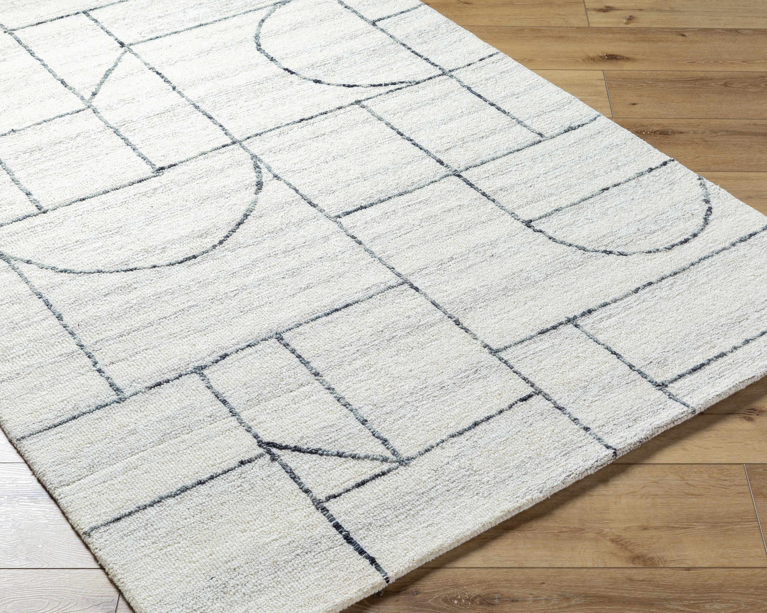 Sanaz Charcoal Area Rug - Clearance