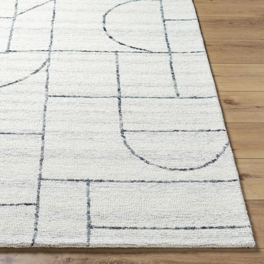 Sanaz Charcoal Area Rug - Clearance