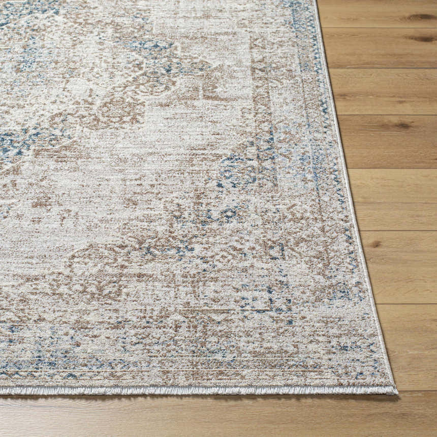 Close-up of the Kosta Beige & Blue Medallion Area Rug showing its farmhouse style and traditional medallion pattern. Front