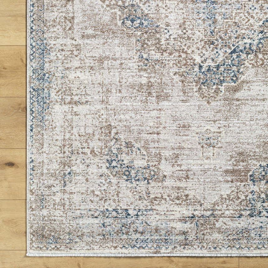 Close-up of Kosta Beige & Blue Medallion Area Rug showing its traditional design, beige, brown, and blue colors. Corner