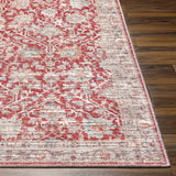 Cathy Area Rug - Clearance