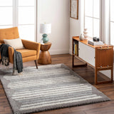 Buono Light Gray Area Rug - Clearance