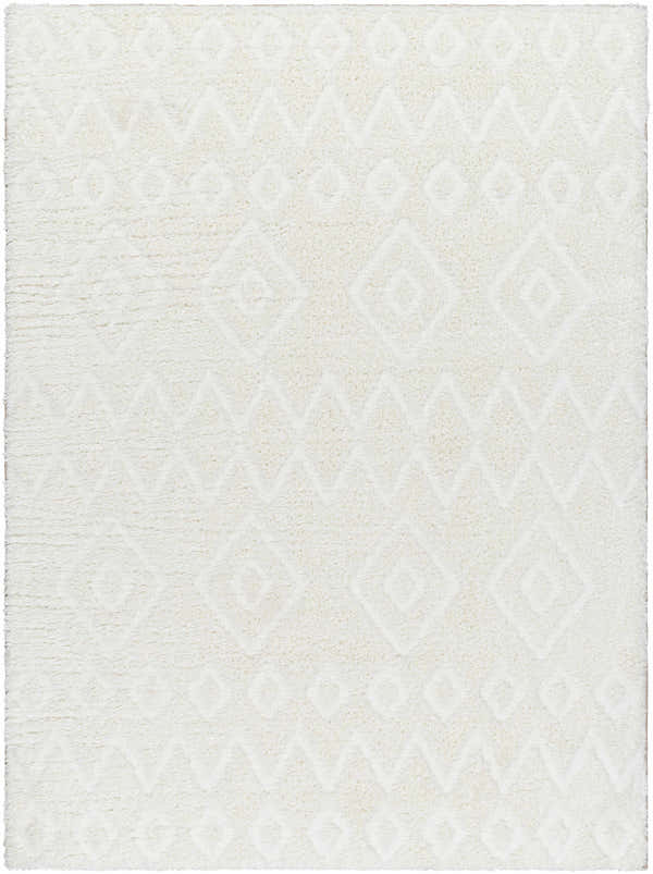 Close-up of the Hoshi Area Rug in beachhouse. Shag rug with geometric diamond and zigzag pattern. Soft, textured polyester. Design-Rectangle-537