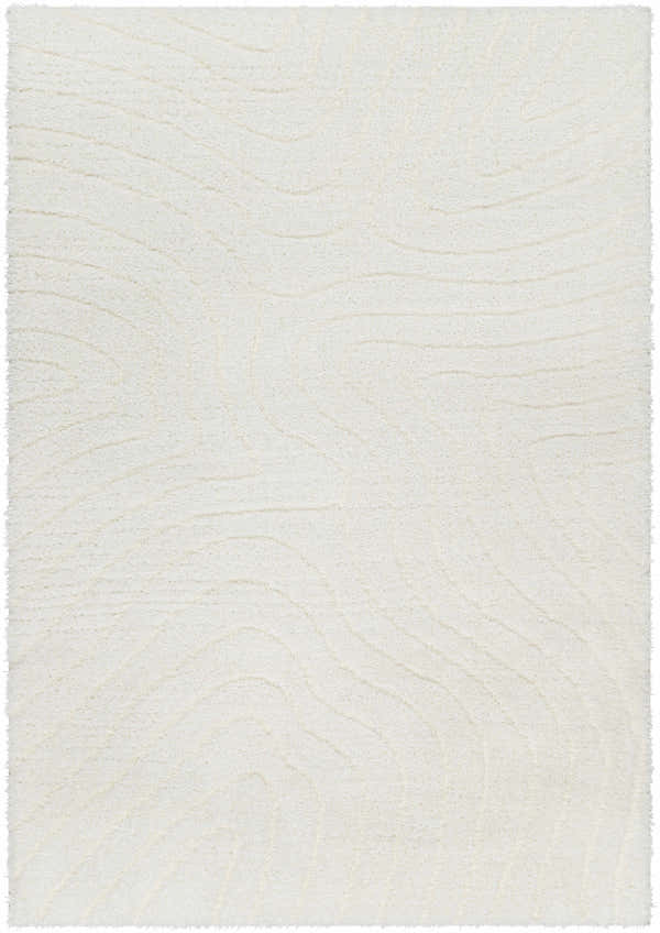 Close-up of the Kanga Area Rug, a beige shag rug with a subtle, contemporary wave pattern and soft texture. Design-Rectangle-537