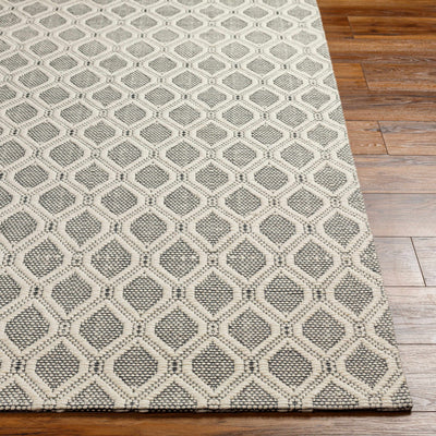 Edyta Wool Area Rug