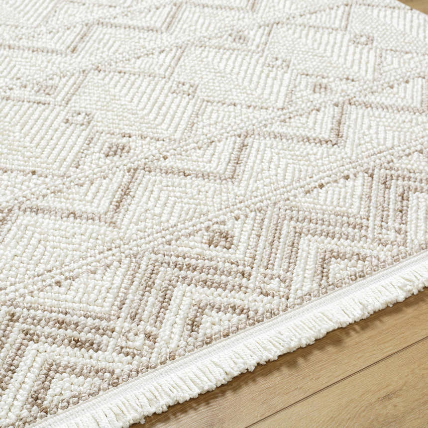 Close-up of the Armen Area Rug, a beige and cream rug with a geometric pattern and fringe detail. Texture