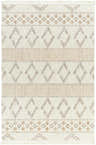 Close-up of Faruq Area Rug. Beige rug with geometric diamond patterns in brown and gray. Farmhouse style. Design-Rectangle-537