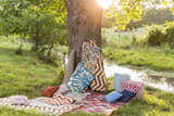 Alimono Outdoor Throw Pillow