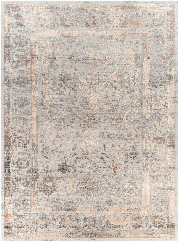 Speaks Distressed Traditional Area Rug