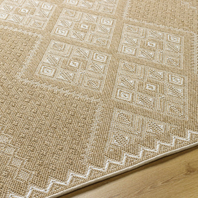 Olina Area Rug