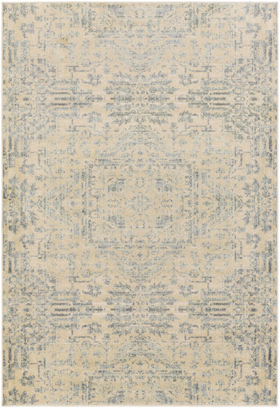 Spotsylvania Area Rug - Clearance