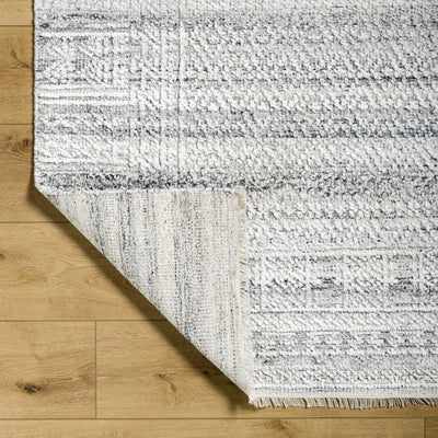 Gray Eldad Area Rug