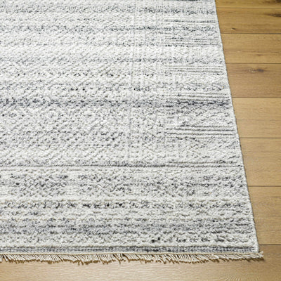 Gray Eldad Area Rug