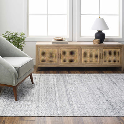 Gray Kazi Area Rug