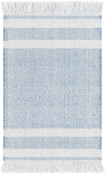 Close-up of the Loic Silver Blue Area Rug, featuring a striped pattern and white fringe. Hand-woven texture. Design-Rectangle-23
