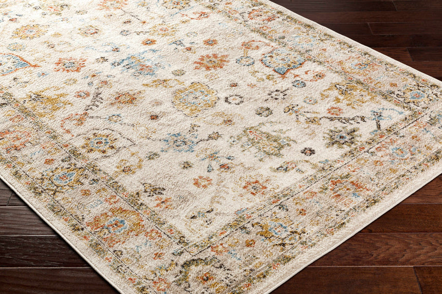 Darda Brown Area Rug - Clearance