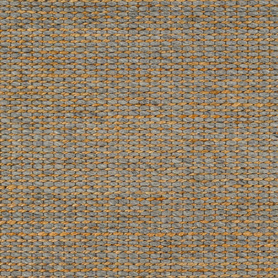 Riki Gray Area Rug