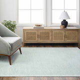 Isako Seafoam Solid Washable Area Rug - Clearance