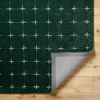 Sanvi Green Wool Area Rug