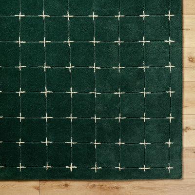 Sanvi Green Wool Area Rug