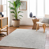 Blaga Area Rug - Clearance