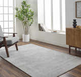 Living room scene with a silver gray Noham Area Rug, gray chair, wood cabinet, and indoor tree. Roomscene-Rectangle