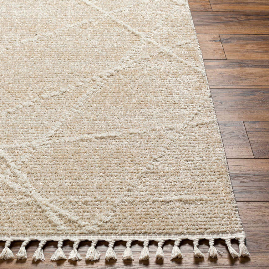 Close-up of the Hosea Cream Area Rug showing the geometric pattern, soft texture, and tassel fringe on wood flooring. Front