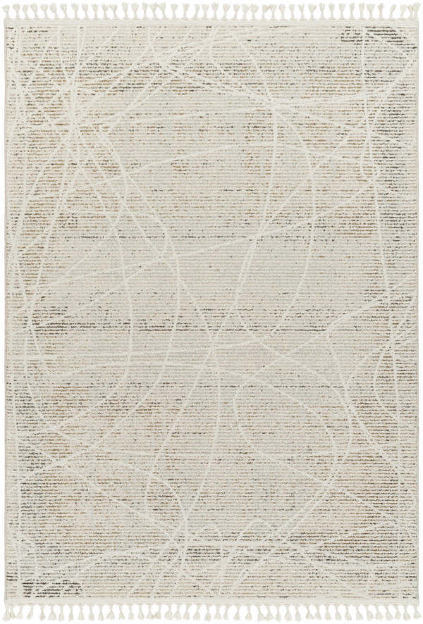 Beige Huong Area Rug with bone geometric pattern and tassels. Contemporary style. Design-Rectangle-537
