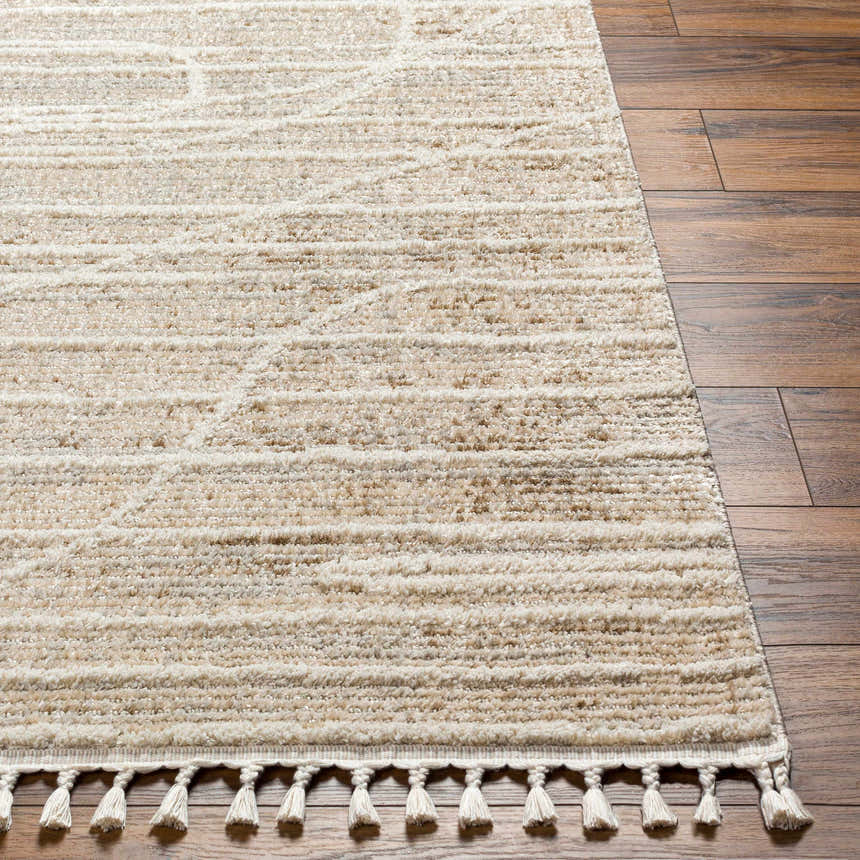 Close-up of the Inaya Area Rug. Beige and brown polyester rug with a contemporary design and decorative tassels. Front