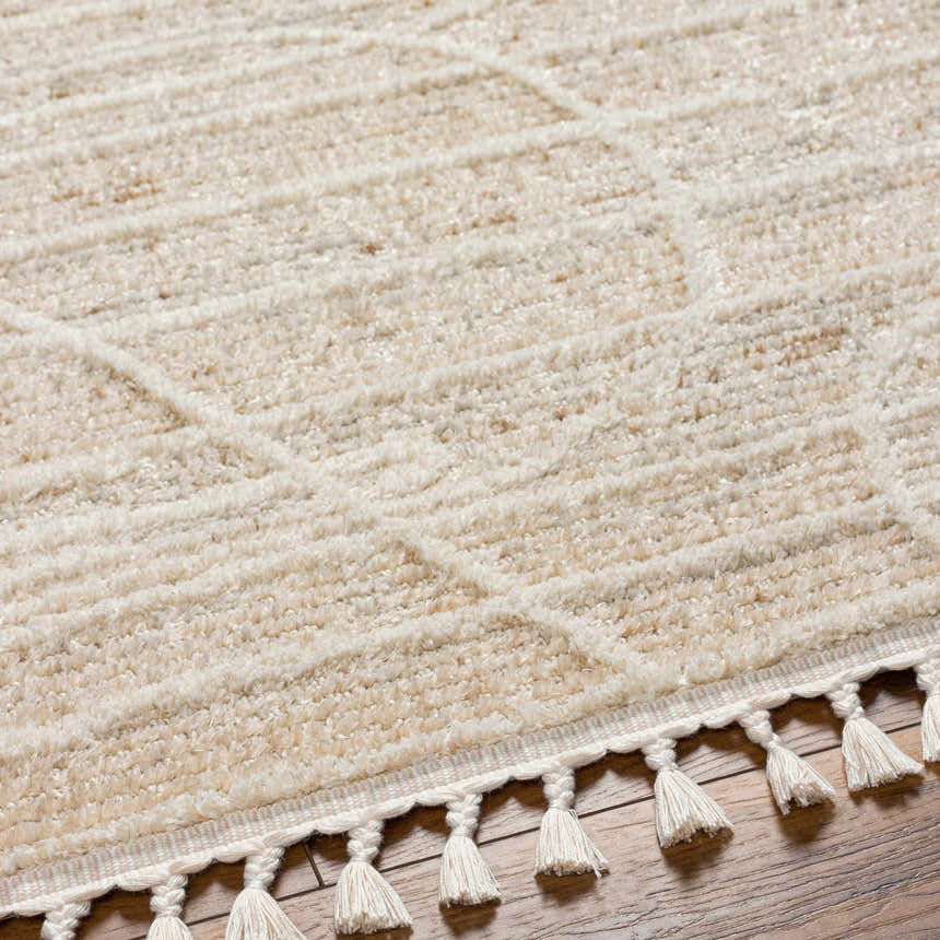 Close-up of the beige Inaya Area Rug showing its geometric pattern, shaggy texture, and decorative tassels. Texture