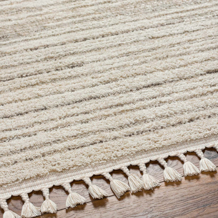 Close-up of the Levy Cream Area Rug showing its beige, brown stripes, soft texture, and decorative tassels. Texture